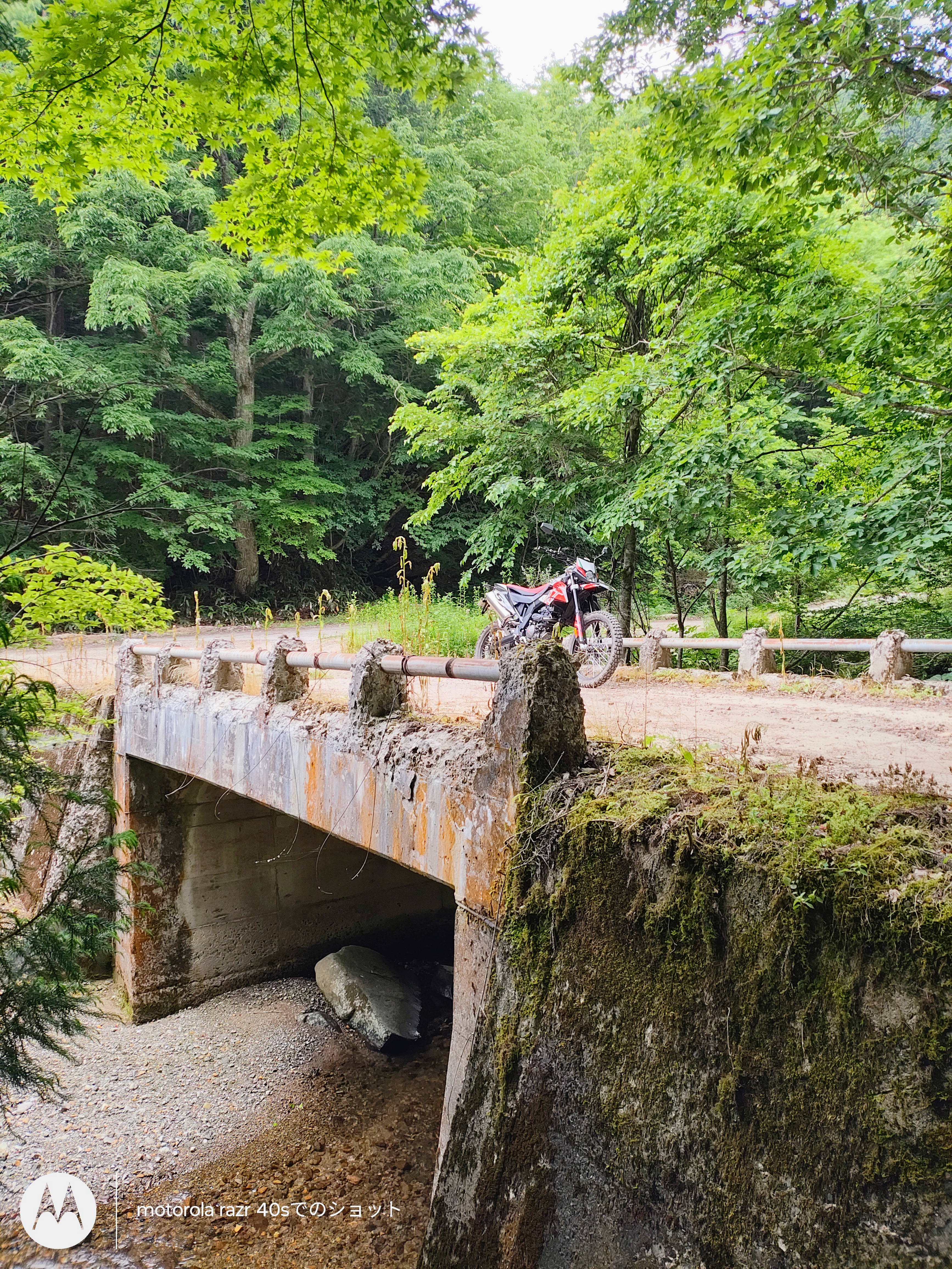 Featured image of post 林道道後山線【林道レポ】