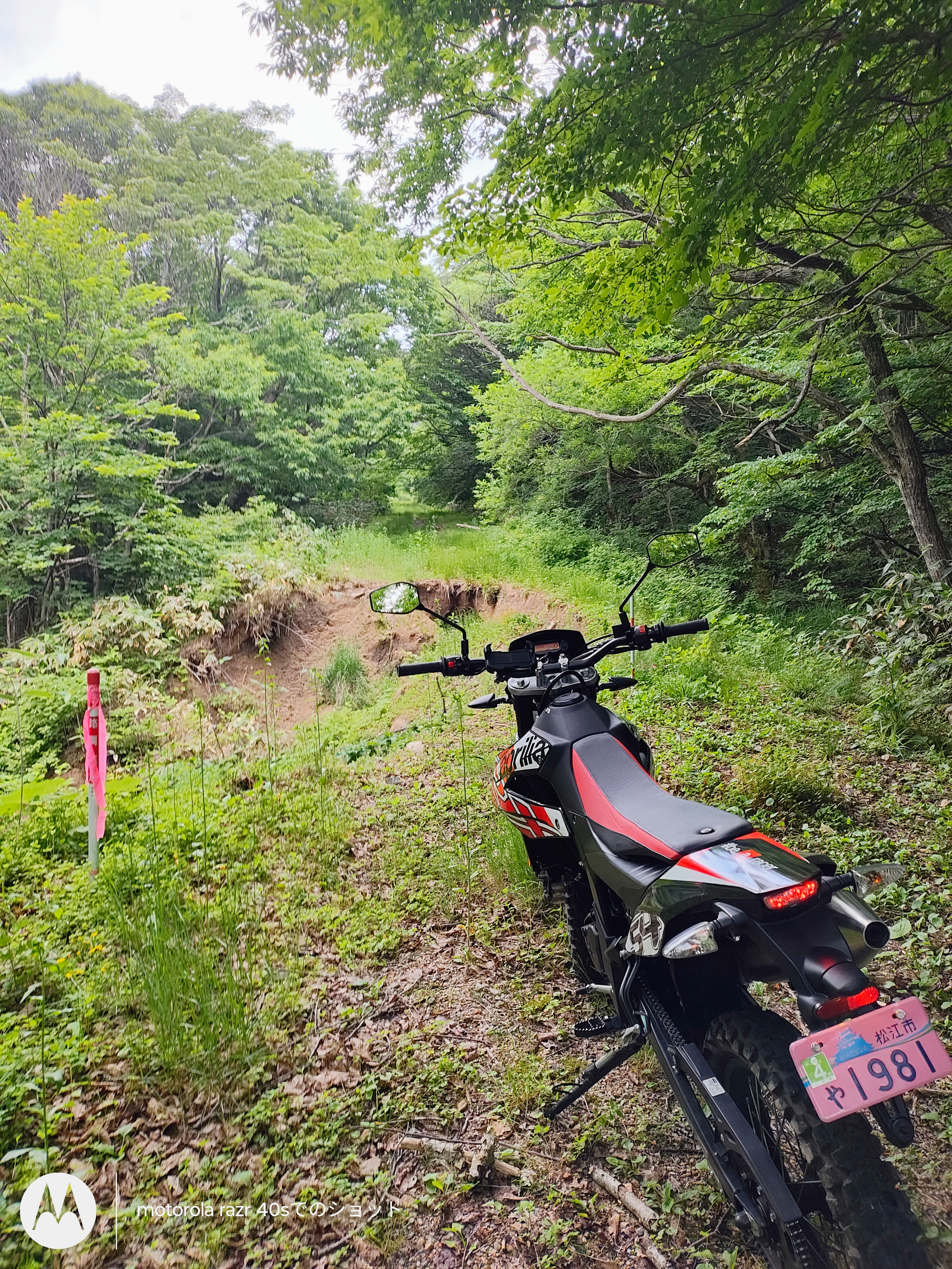 道後山