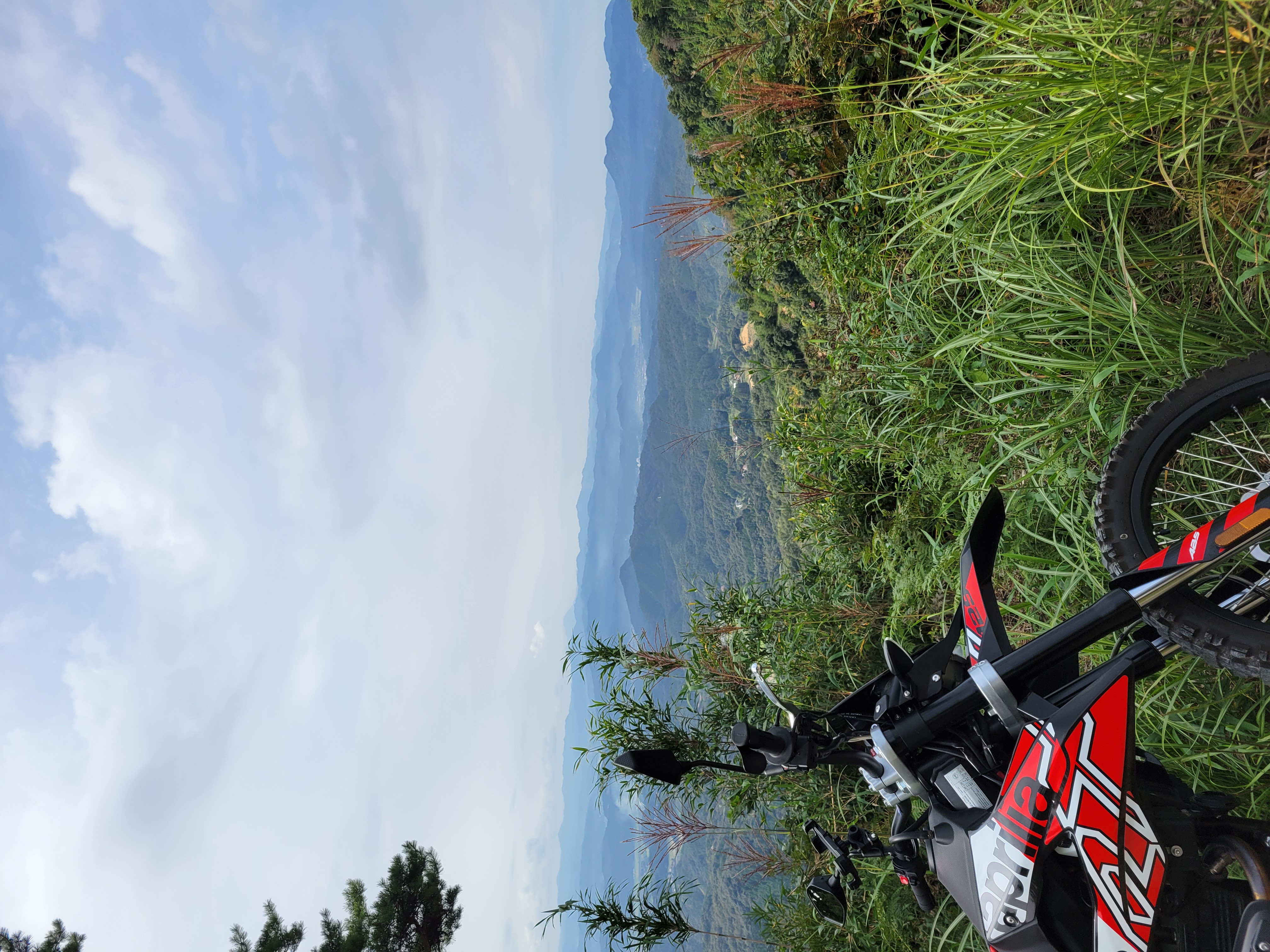 Featured image of post 林道八重山線【林道レポ】