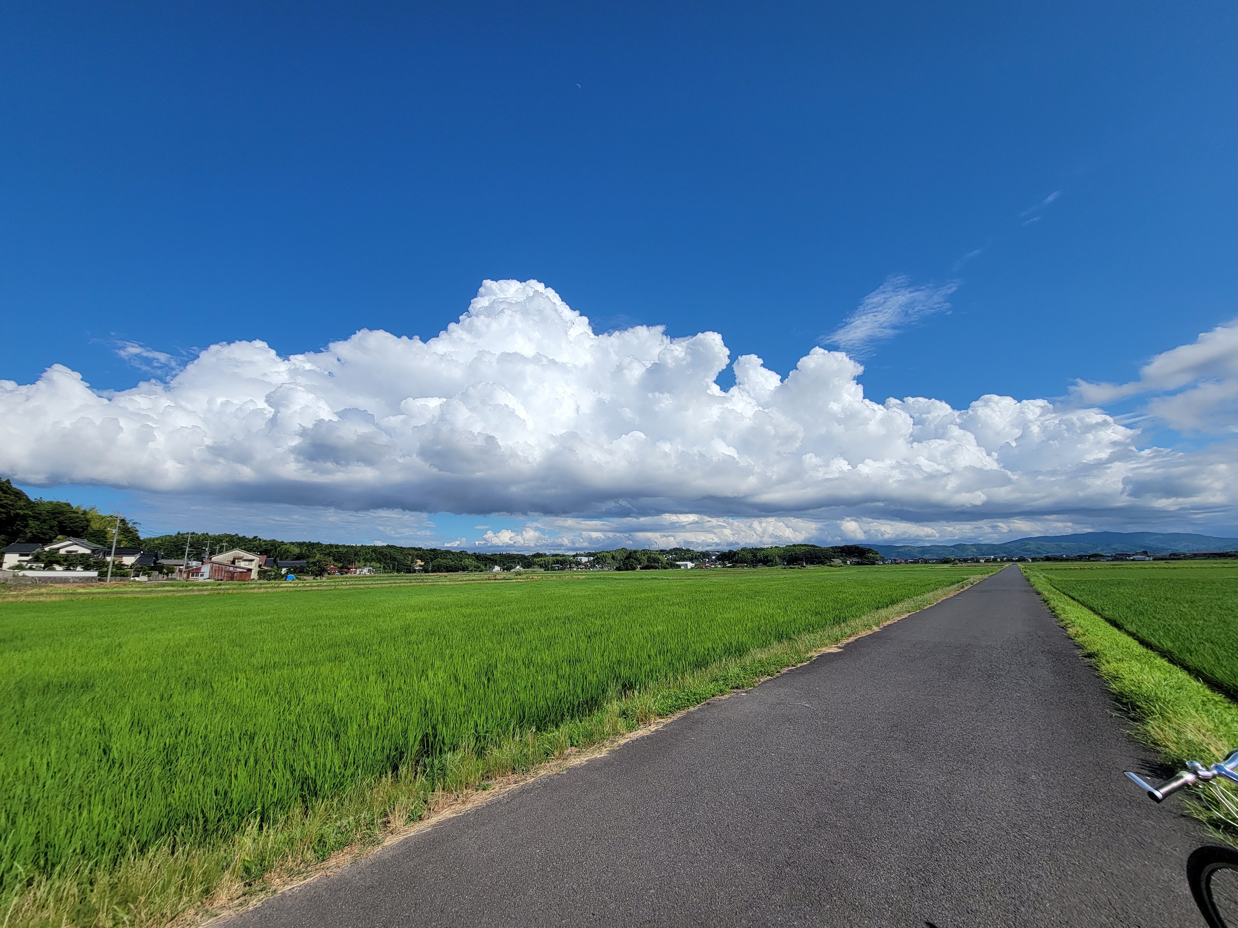Featured image of post ブログ?開設しました