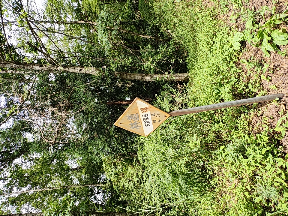 八重山